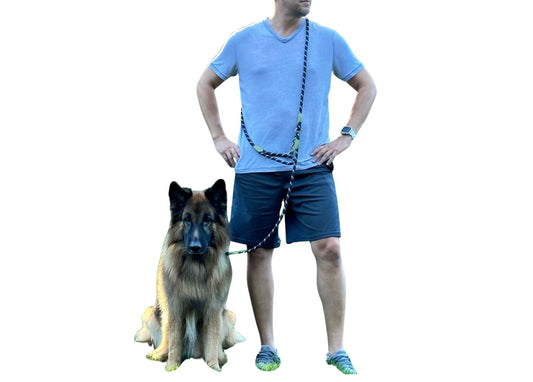 Black Reflective Hands-Free Dog Leash